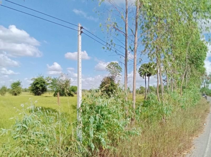 ด่วนลดราคา-ขายที่ดินสวยเหมาะทำโคกหนองนา-อเมือง-จร้อยเอ็ด