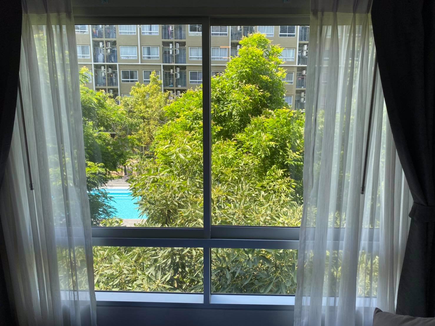 ให้เช่าพลัมคอนโดรังสิต-อไลฟ์-เฟส-1-วิวสระ-ชั้น-3-เฟอร์ครบ-9000-รวมส่วนกลาง