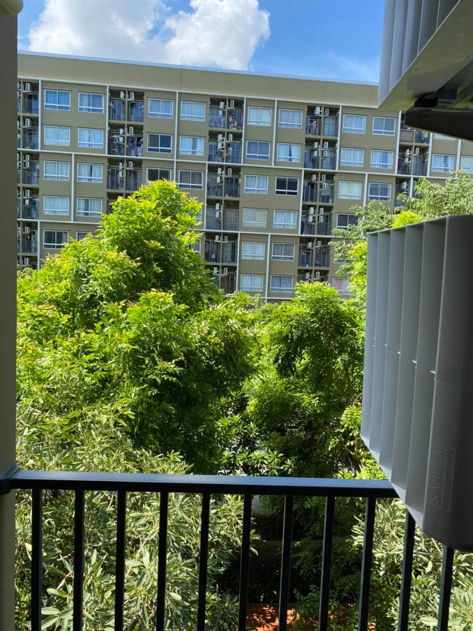 ให้เช่าพลัมคอนโดรังสิต-อไลฟ์-เฟส-1-วิวสระ-ชั้น-3-เฟอร์ครบ-9000-รวมส่วนกลาง