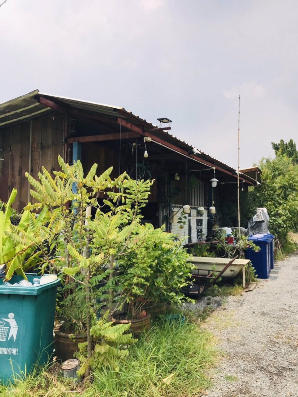 ขายที่ดินทำเลทองพร้อมบ้านสวนและพืชพรรณนาชนิด-ใจกลางถนนเกษตรนวมินทร์