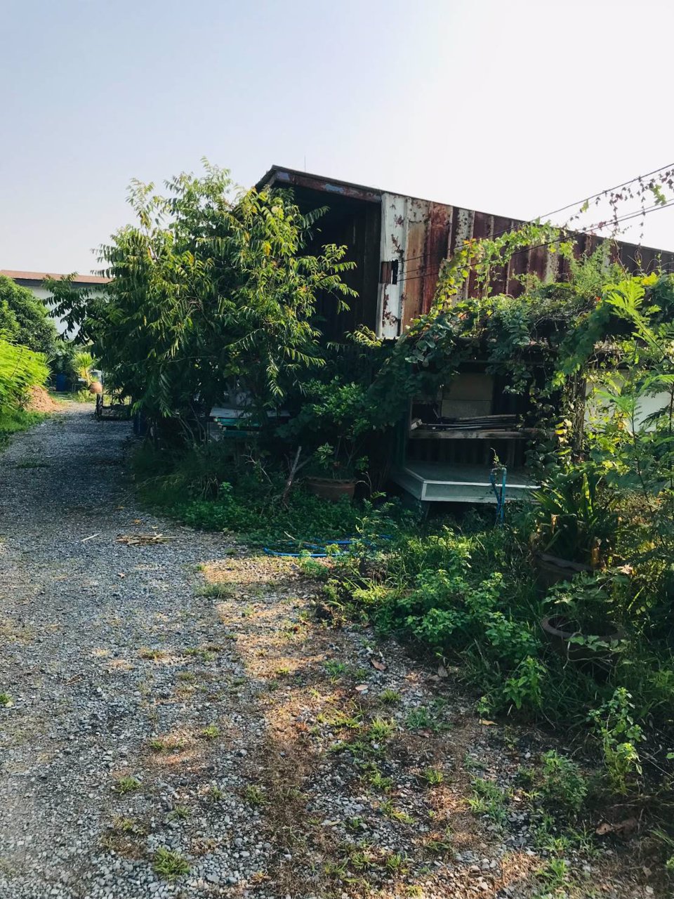 ขายที่ดินทำเลทองพร้อมบ้านสวนและพืชพรรณนาชนิด-ใจกลางถนนเกษตรนวมินทร์