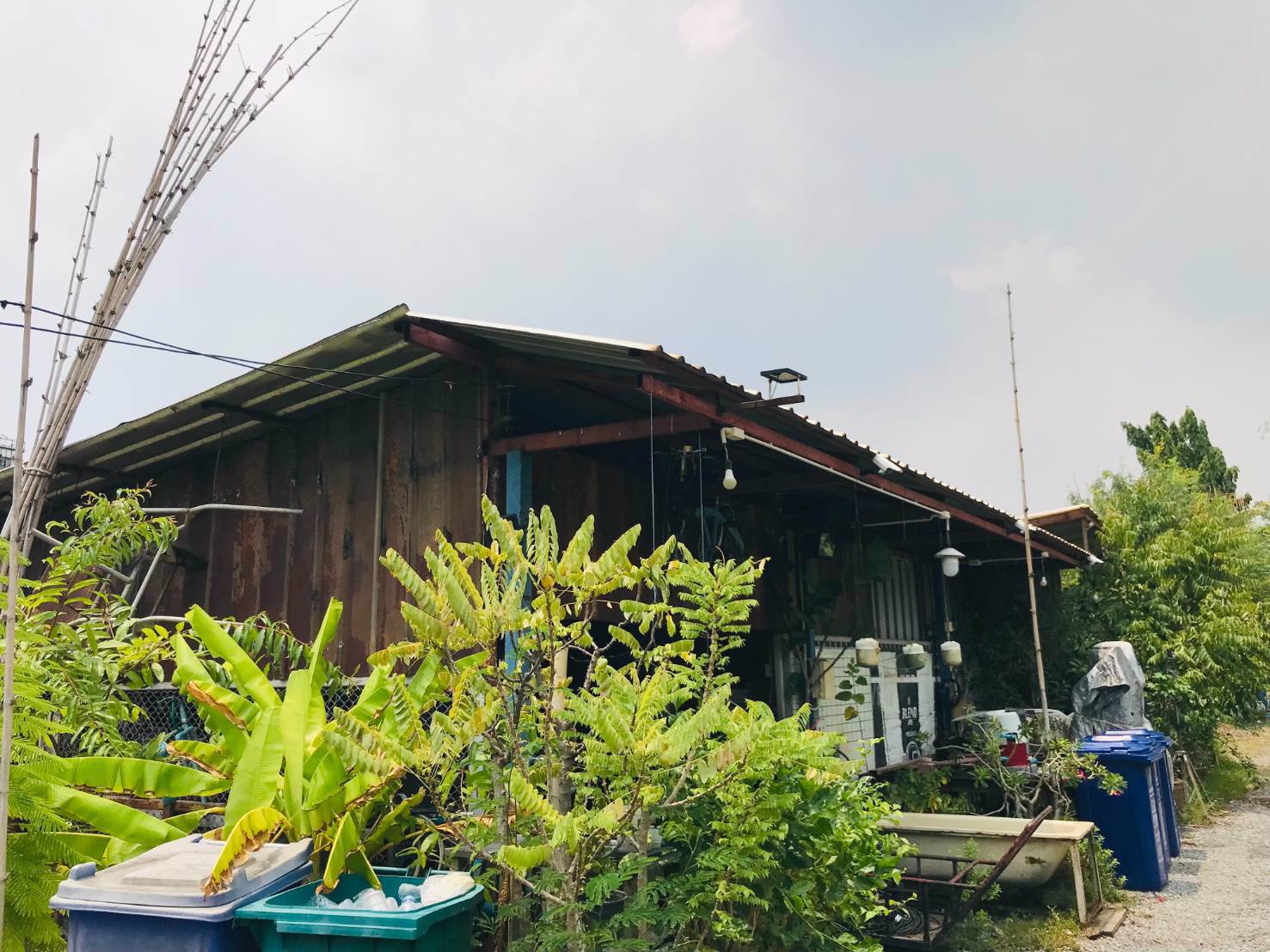 ขายที่ดินทำเลทองพร้อมบ้านสวนและพืชพรรณนาชนิด-ใจกลางถนนเกษตรนวมินทร์