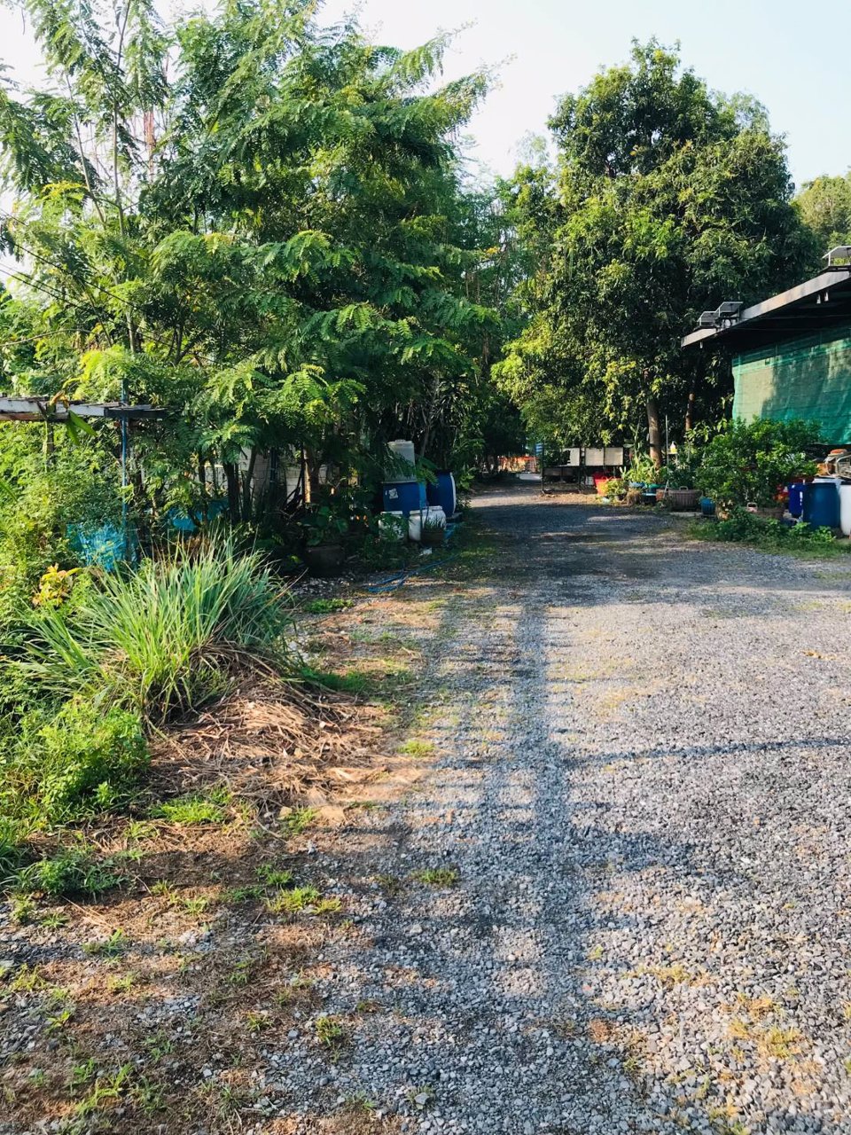 ขายที่ดินทำเลทองพร้อมบ้านสวนและพืชพรรณนาชนิด-ใจกลางถนนเกษตรนวมินทร์