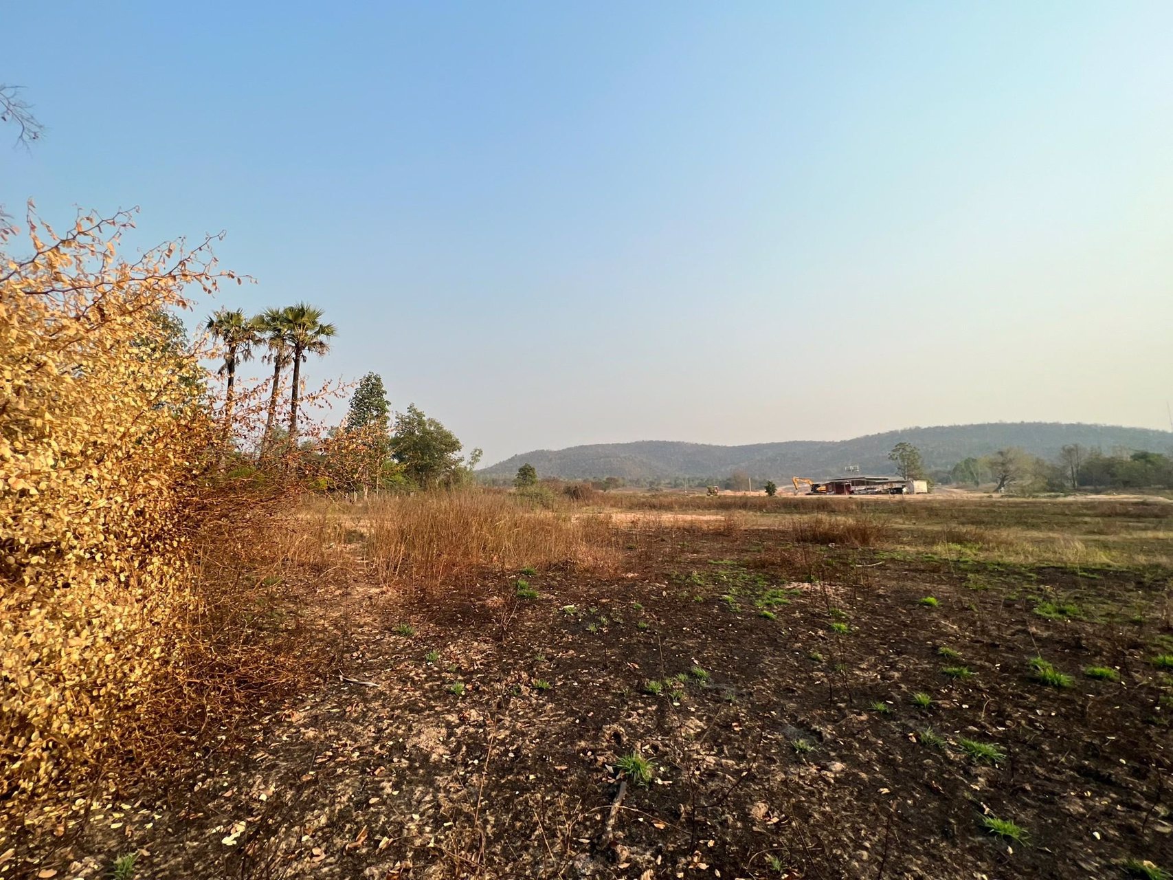 ขายที่ดินเปล่าต่ำกว่าราคาตลาด-ต-เหมืองจี้-อเมืองลำพูน-จลำพูน