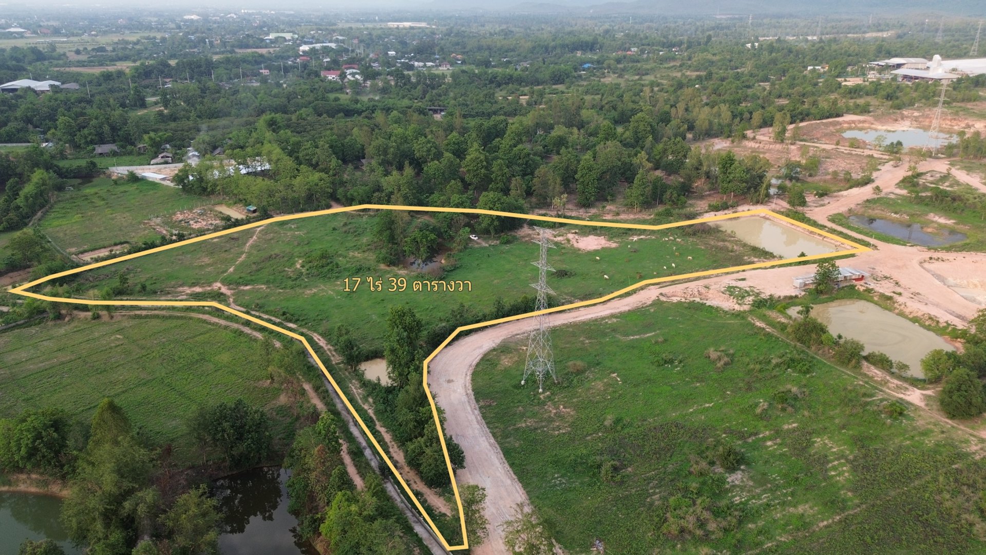 ขายที่ดินเปล่าต่ำกว่าราคาตลาด-ต-เหมืองจี้-อเมืองลำพูน-จลำพูน