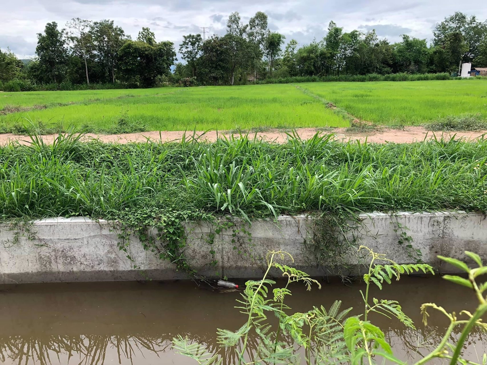 ขายที่ดินเปล่าต่ำกว่าราคาตลาด-ต-เหมืองจี้-อเมืองลำพูน-จลำพูน