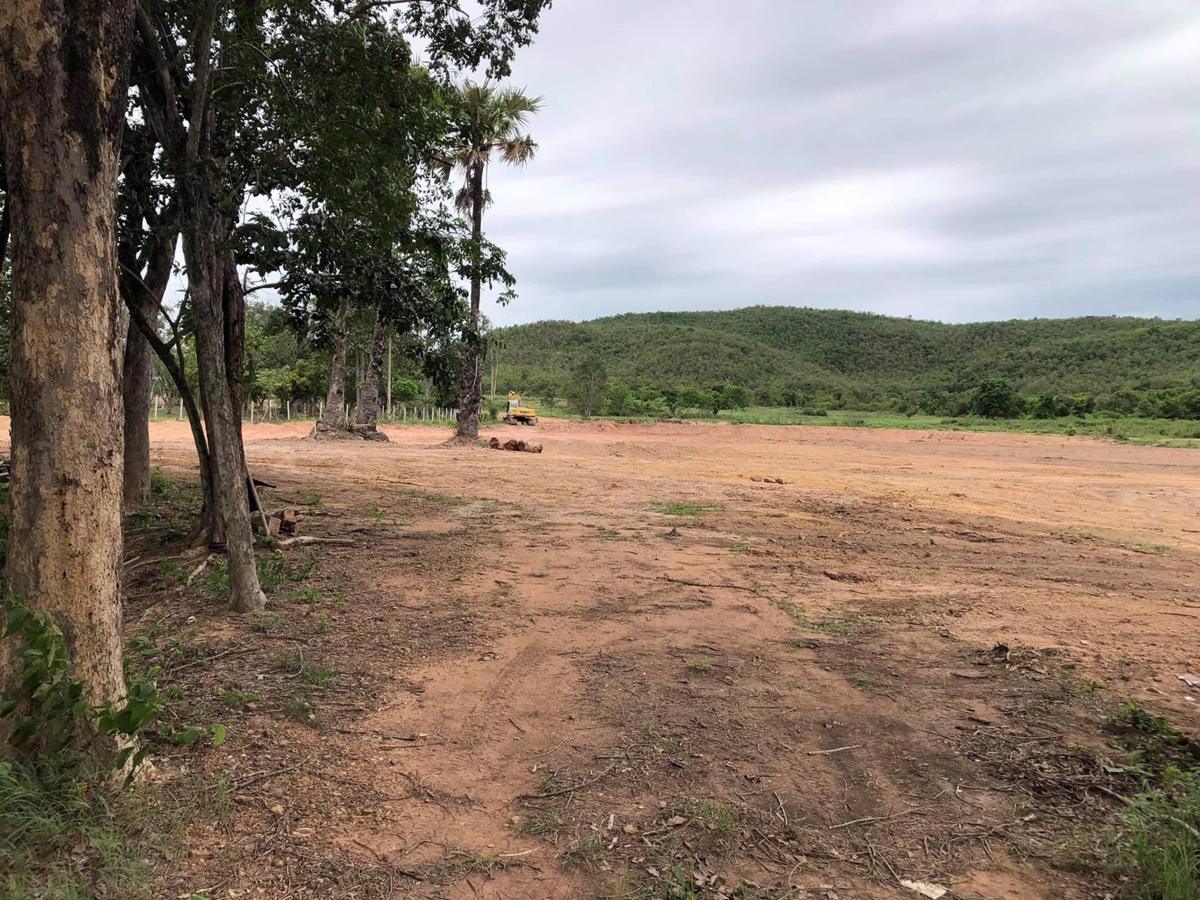 ขายที่ดินเปล่าต่ำกว่าราคาตลาด-ต-เหมืองจี้-อเมืองลำพูน-จลำพูน