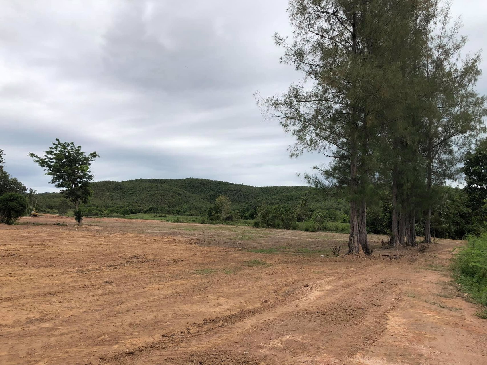 ขายที่ดินเปล่าต่ำกว่าราคาตลาด-ต-เหมืองจี้-อเมืองลำพูน-จลำพูน