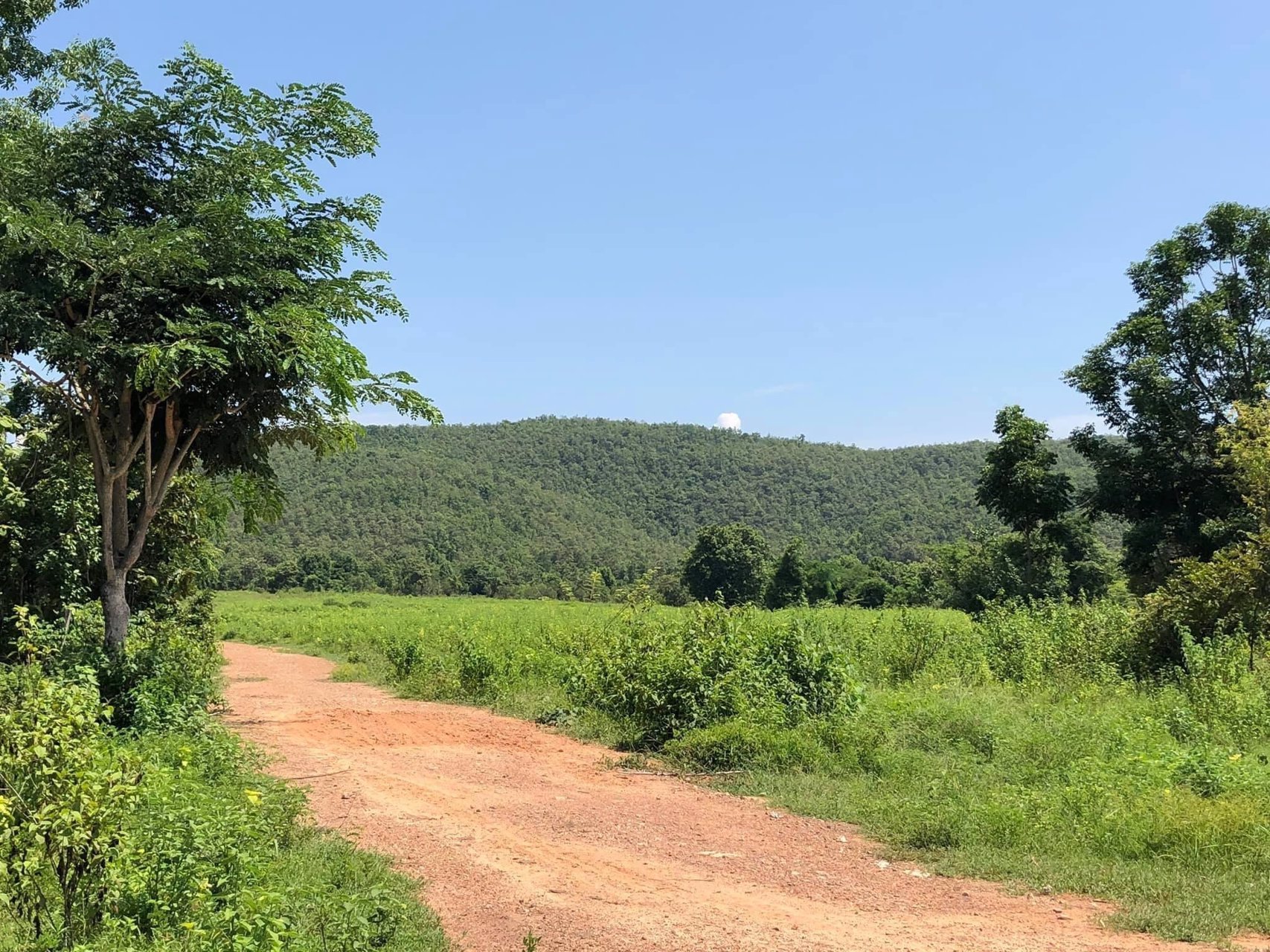 ขายที่ดินเปล่าต่ำกว่าราคาตลาด-ต-เหมืองจี้-อเมืองลำพูน-จลำพูน