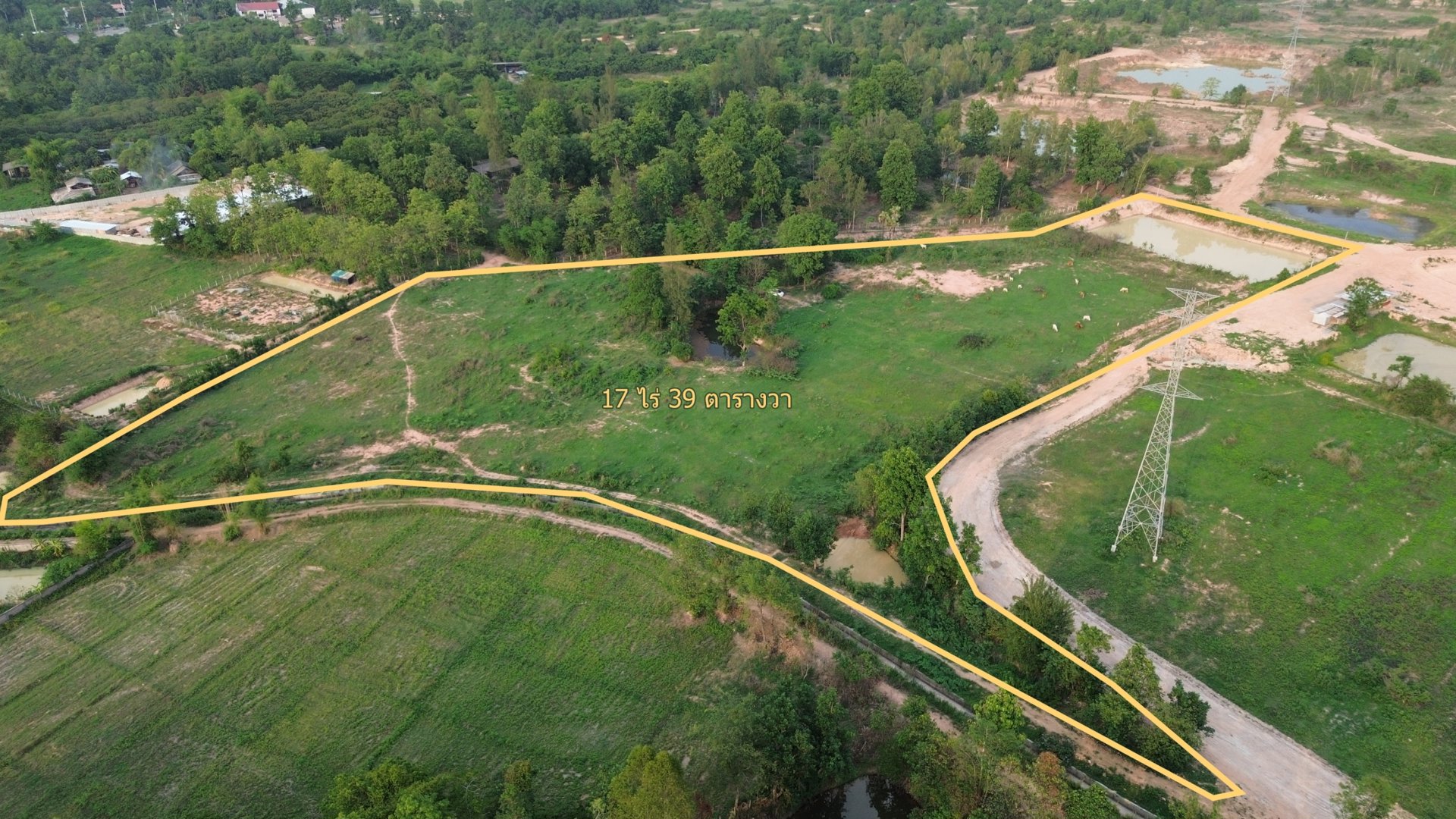 ขายที่ดินเปล่าต่ำกว่าราคาตลาด-ต-เหมืองจี้-อเมืองลำพูน-จลำพูน