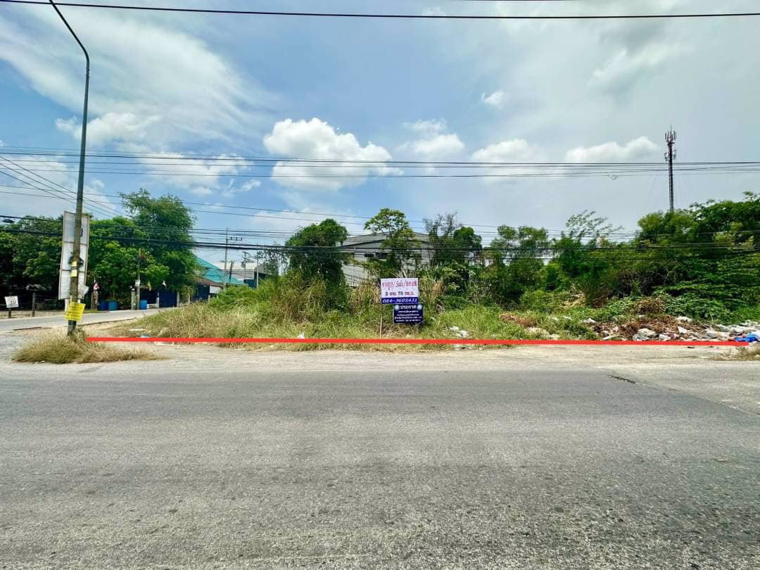 ขายด่วน-ที่ดินติดถนน-ลำลูกกา-คลอง3-ที่ดินแปลงสวย-ทำเลทอง-อนาคตไกล