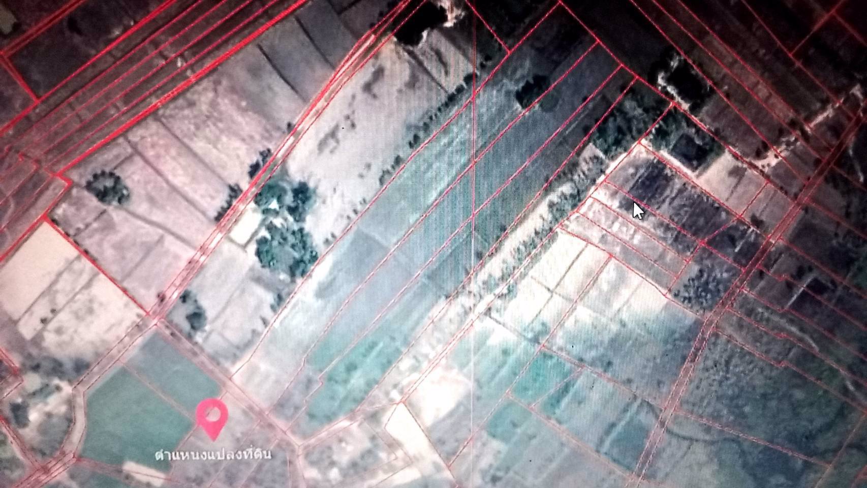 ขายด่วน-ขายถูก-ที่นาสวย