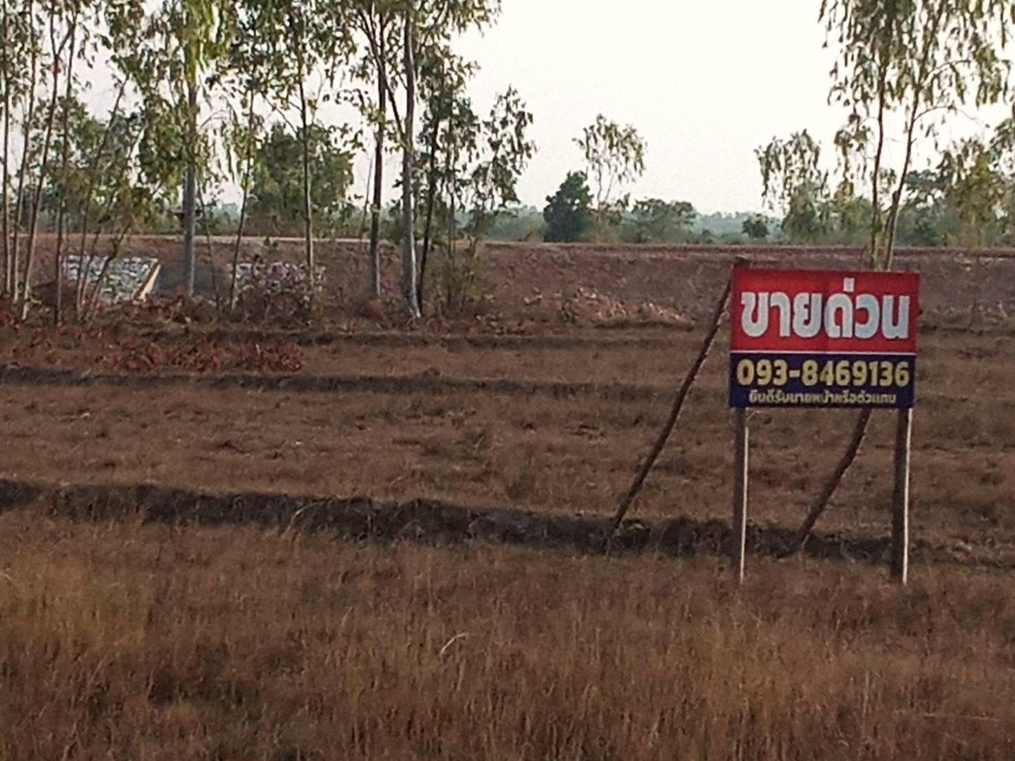 ขายด่วน-ขายถูก-ที่นาสวย