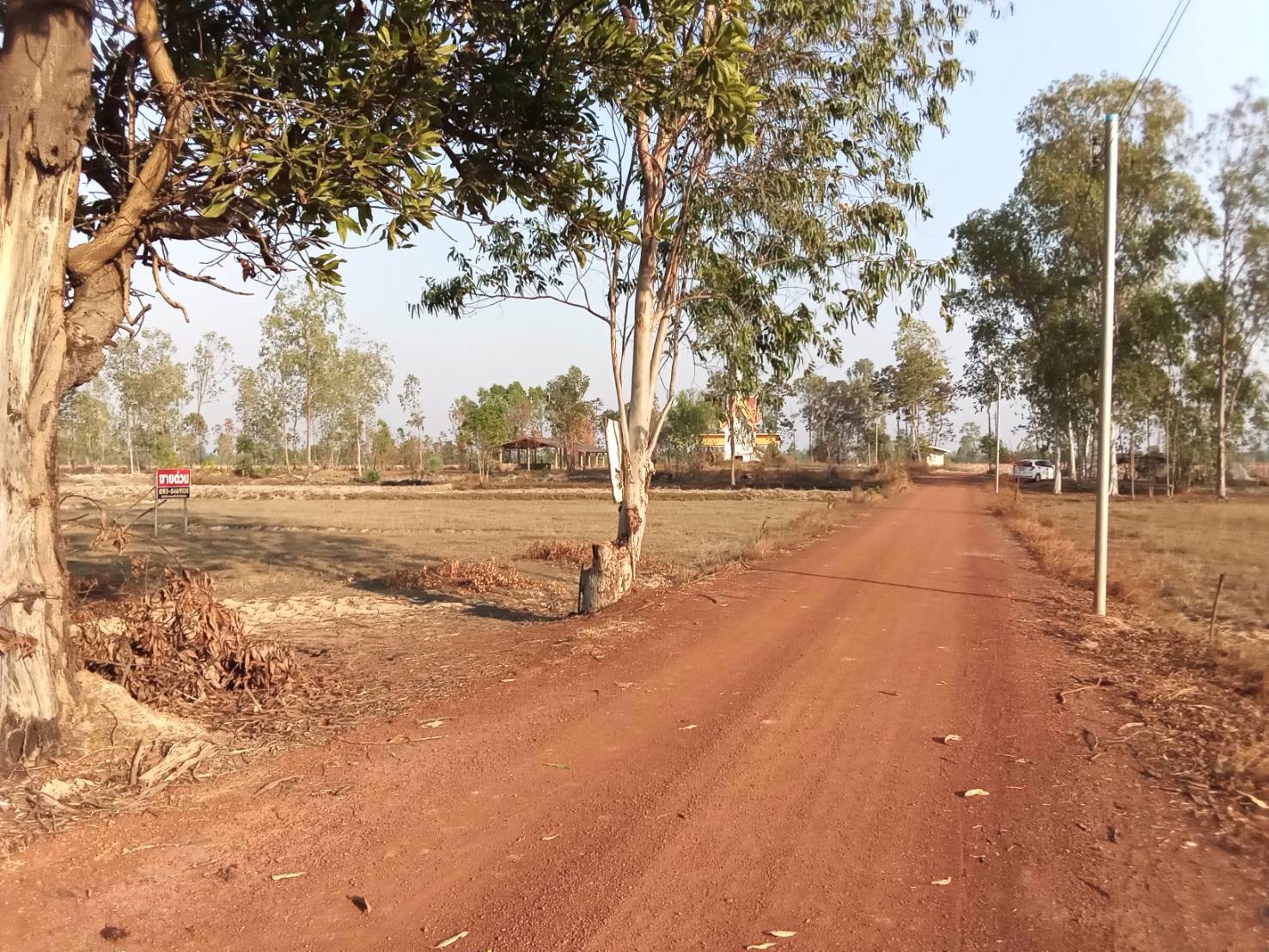 ขายด่วน-ขายถูก-ที่นาสวย