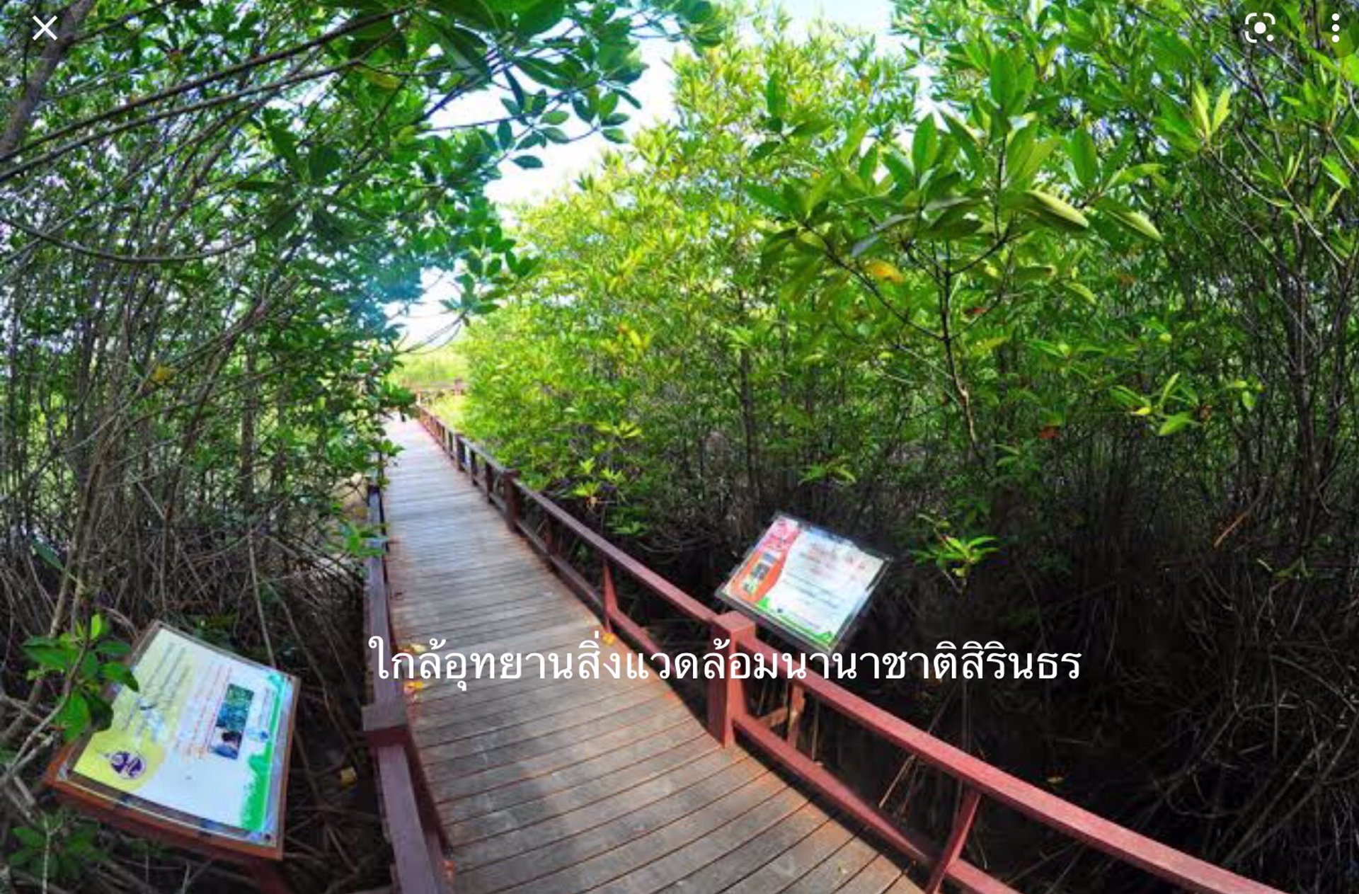 ขาย-ที่ดิน-ใกล้ทะเลชะอำ-หัวหิน-ห่างทะเลเพียง-700-เมตร