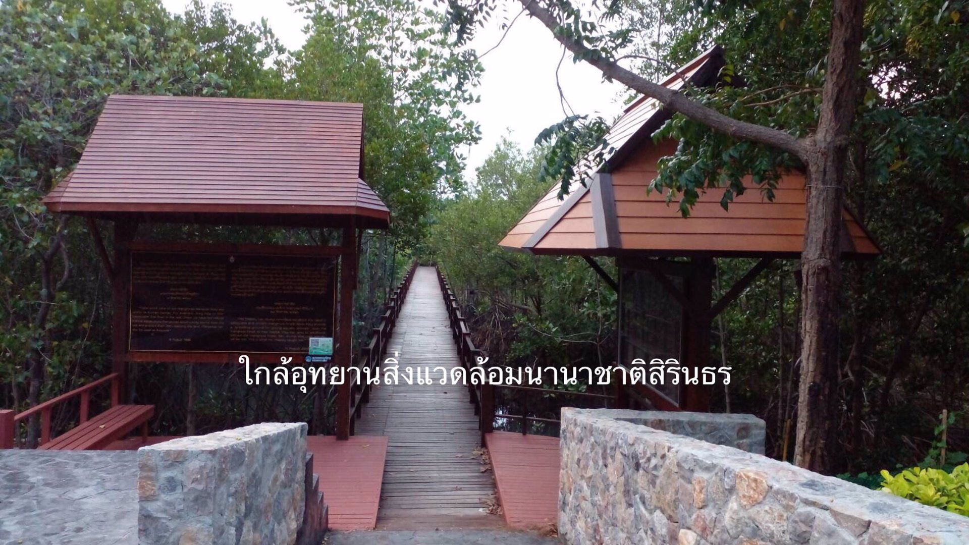 ขาย-ที่ดิน-ใกล้ทะเล-700-เมตร-ซอยชะอำ-51-เพชรบุรี