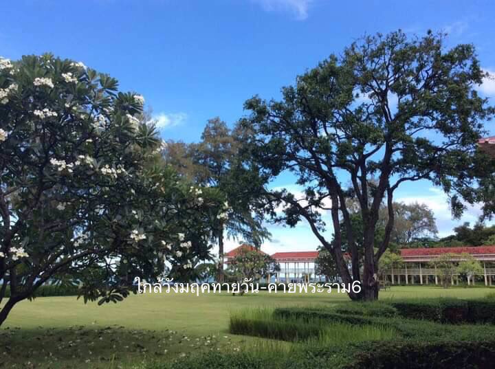 ขาย-ที่ดิน-ใกล้ทะเล-700-เมตร-ซอยชะอำ-51-เพชรบุรี