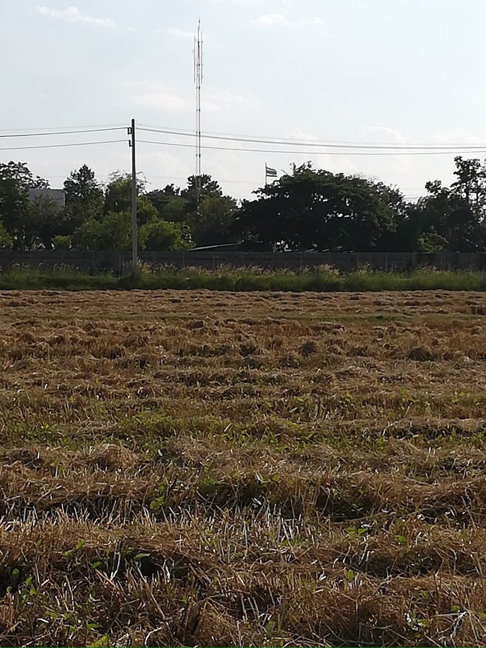 ขายที่ดินเปล่า-5-3-70-ไร่-ตเกษตรวิสัย-อเกษตรวิสัย-จร้อยเอ็ด