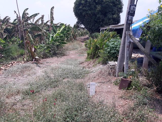 ขายที่ดิน-14-ไร่-อหนองเสือ