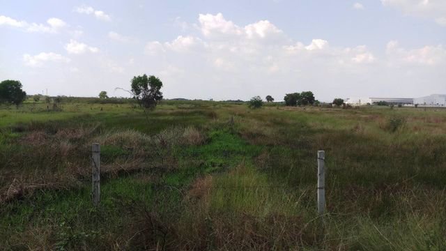 ขายที่ดินเปล่า-61-ไร่-ตพยอม-อวังน้อย-จ-พระนครศรีอยุธยา