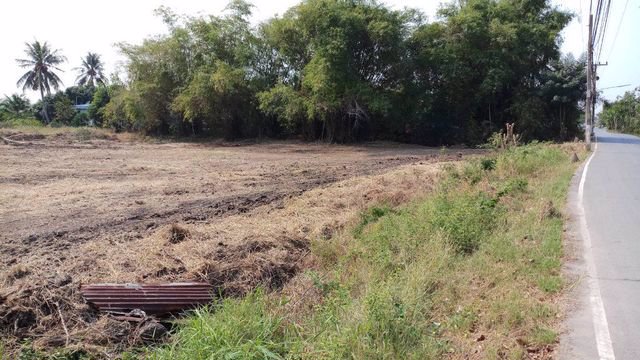 ขายที่ดินเปล่า-61-ไร่-ตพยอม-อวังน้อย-จ-พระนครศรีอยุธยา