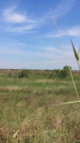 ขายที่ดินเปล่า-61-ไร่-ตพยอม-อวังน้อย-จ-พระนครศรีอยุธยา