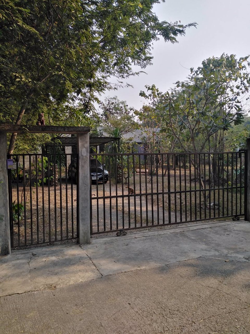 ขายบ้านเดี่ยว-เเม่ออน-เชีบงใหม่-215-ตรว