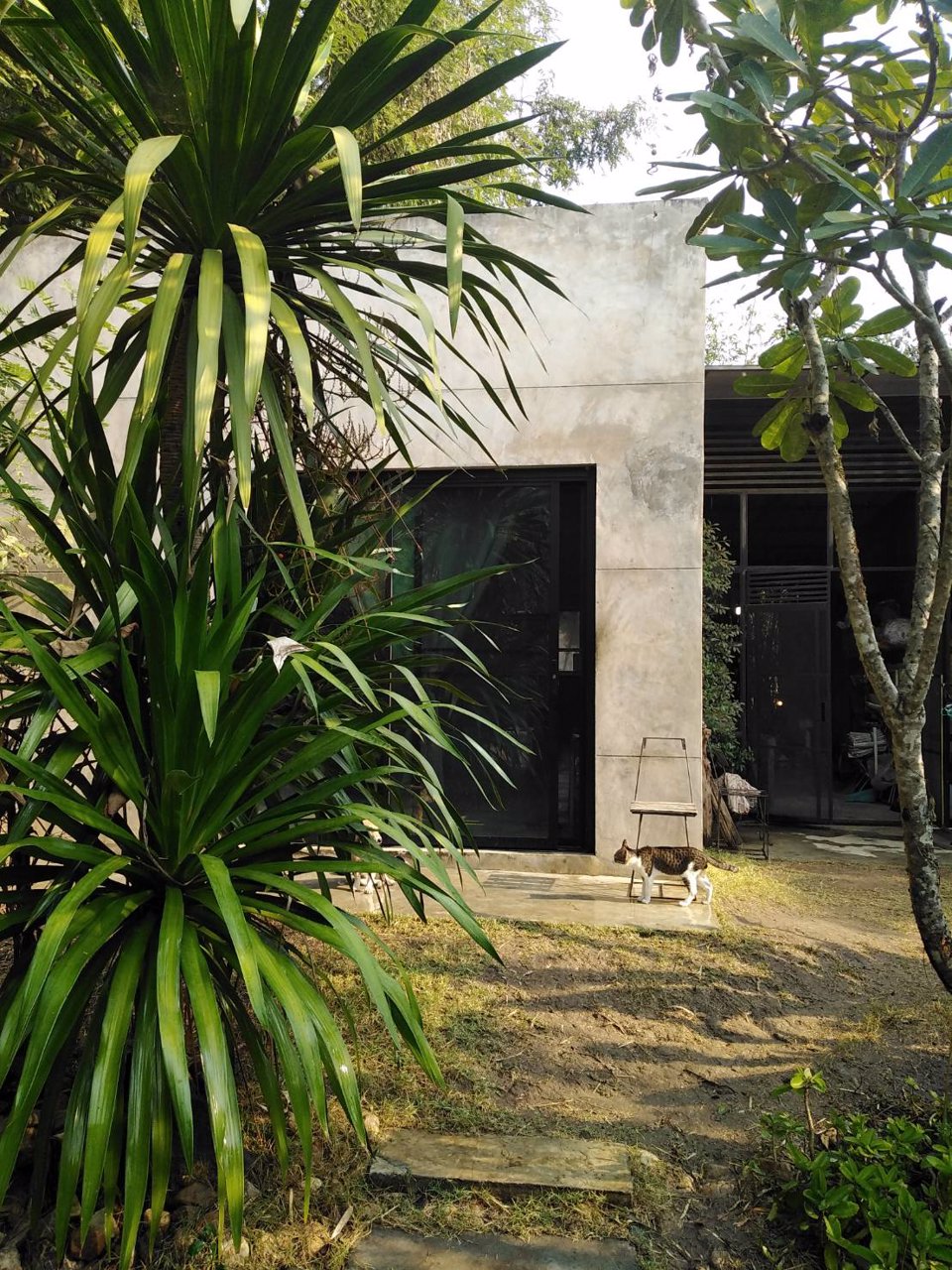 ขายบ้านเดี่ยว-เเม่ออน-เชีบงใหม่-215-ตรว