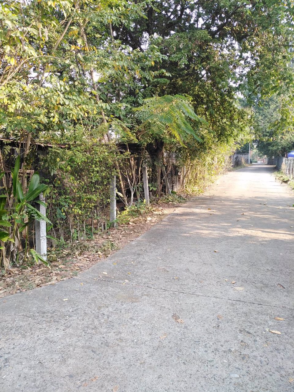 ขายบ้านเดี่ยว-เเม่ออน-เชีบงใหม่-215-ตรว