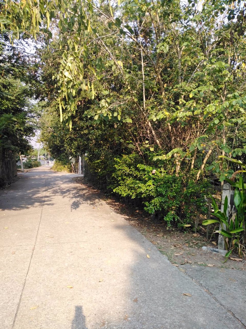 ขายบ้านเดี่ยว-เเม่ออน-เชีบงใหม่-215-ตรว