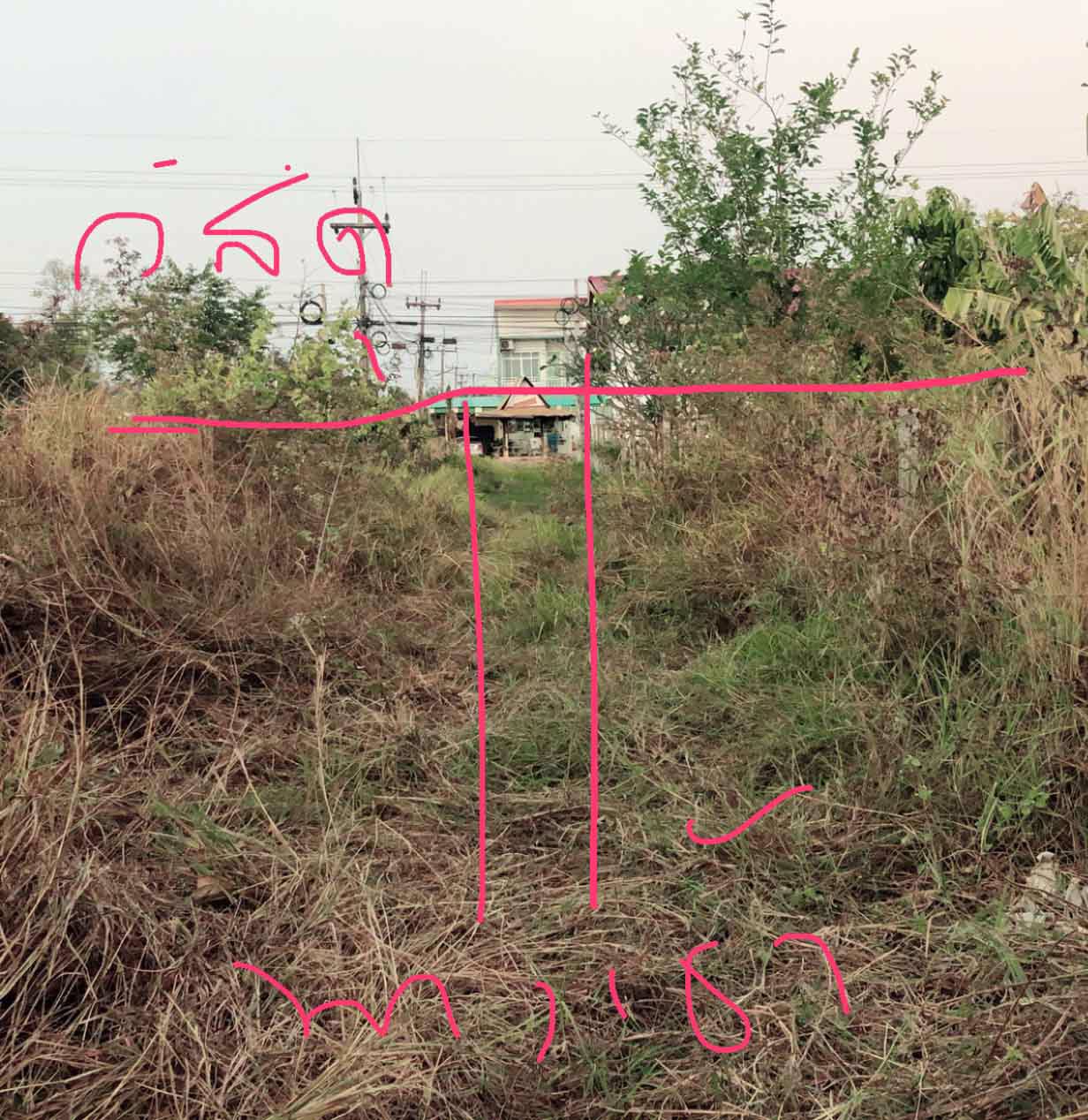 ขายที่ดินเปล่า-1ไร่60ตรว-จยโสธร-อเลิงนกทา