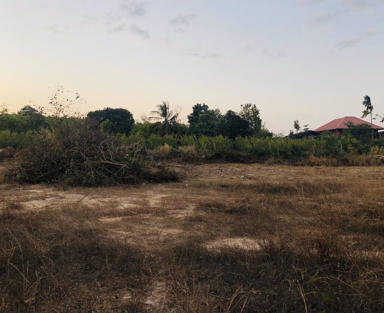 ขายที่ดินเปล่า-1ไร่60ตรว-จยโสธร-อเลิงนกทา