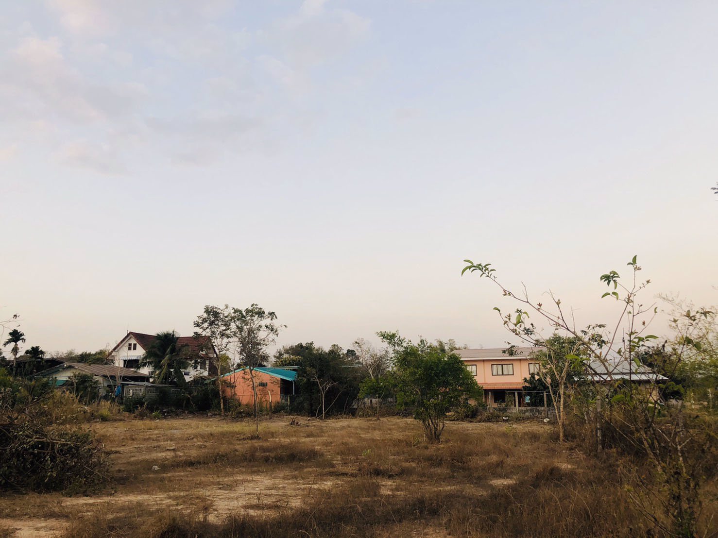 ขายที่ดินเปล่า-1ไร่60ตรว-จยโสธร-อเลิงนกทา