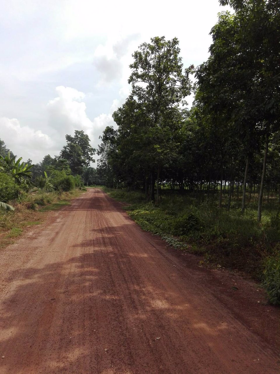 ขายที่ดินเปล่า-26-3-94-ไร่-อเมืองอุดรธานี