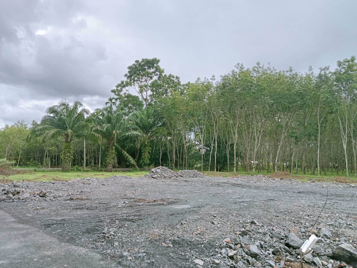 เปิดจอง-ที่ดินแบ่งขาย-ราคาเพียงห้องละ-399900-เท่านั้นนน