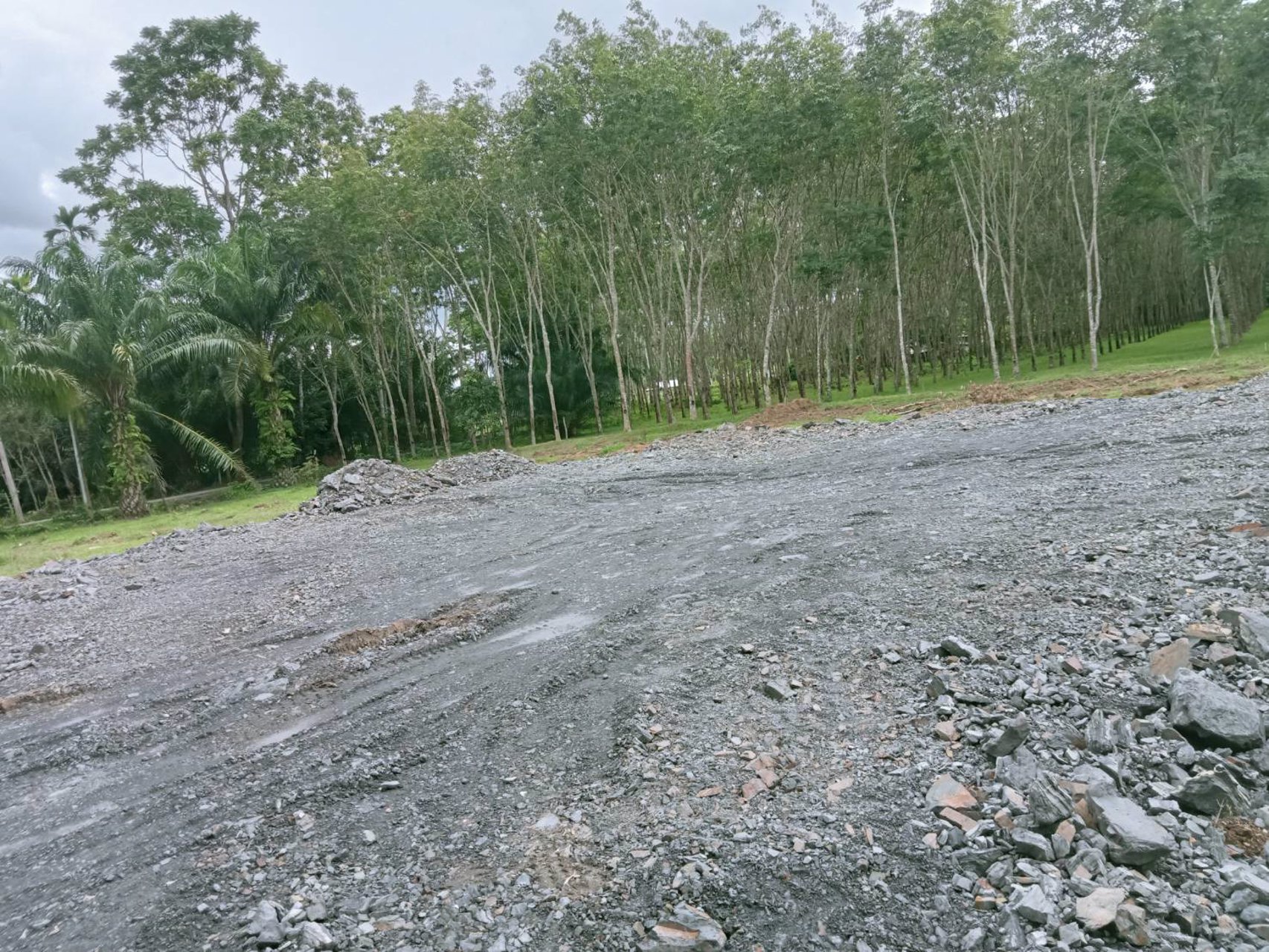 เปิดจอง-ที่ดินแบ่งขาย-ราคาเพียงห้องละ-399900-เท่านั้นนน