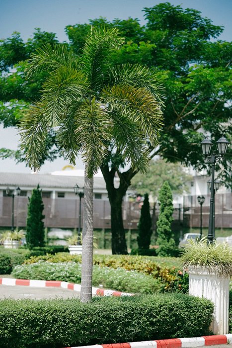 ขาย-ให้เช่าอาคารพาณิชย์-3-ชั้น-ใกล้เซ็นทรัลเชียงราย