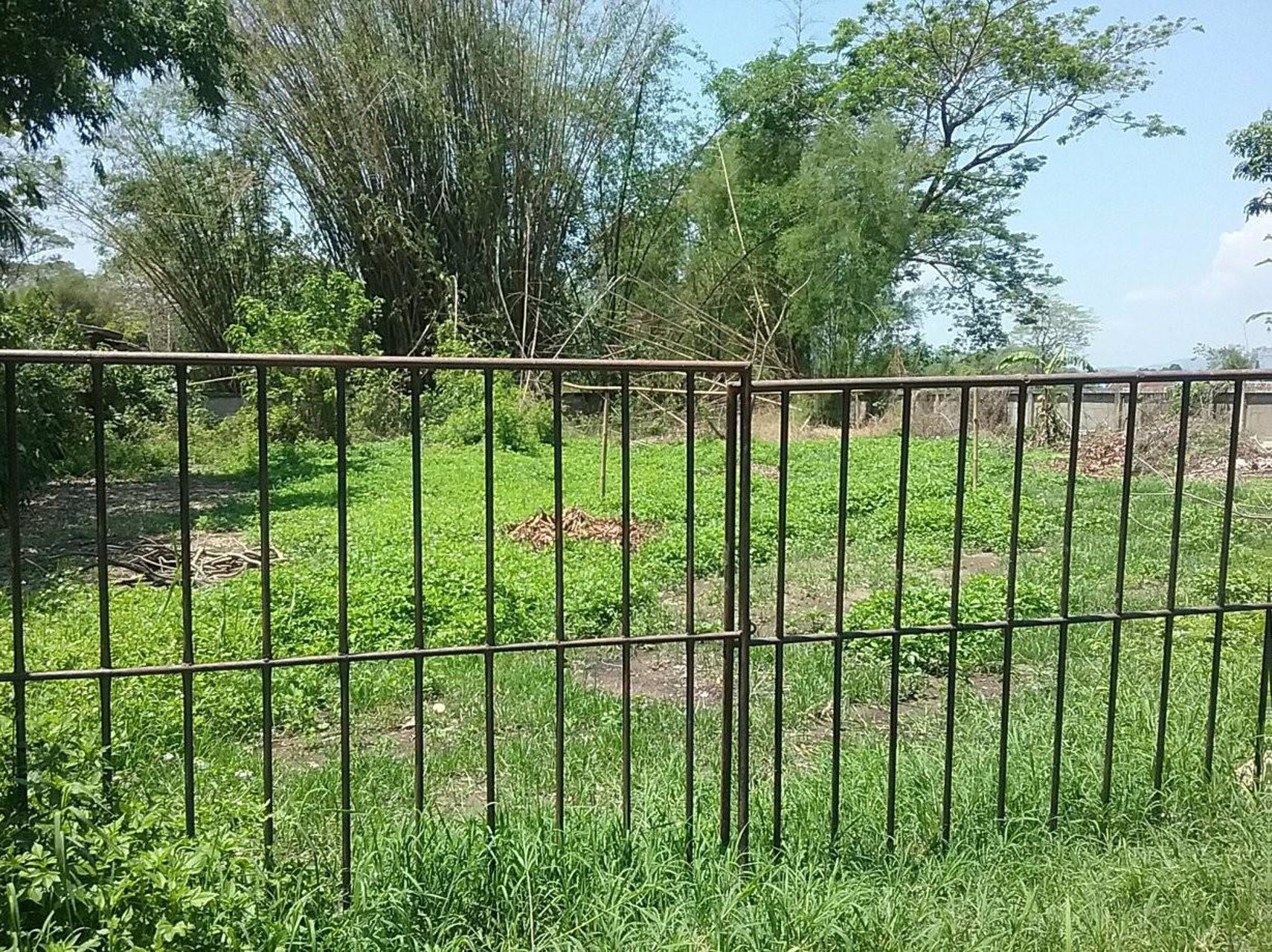 ให้เช่าที่ดิน-อแม่จัน-จเชียงราย-258-ตรว