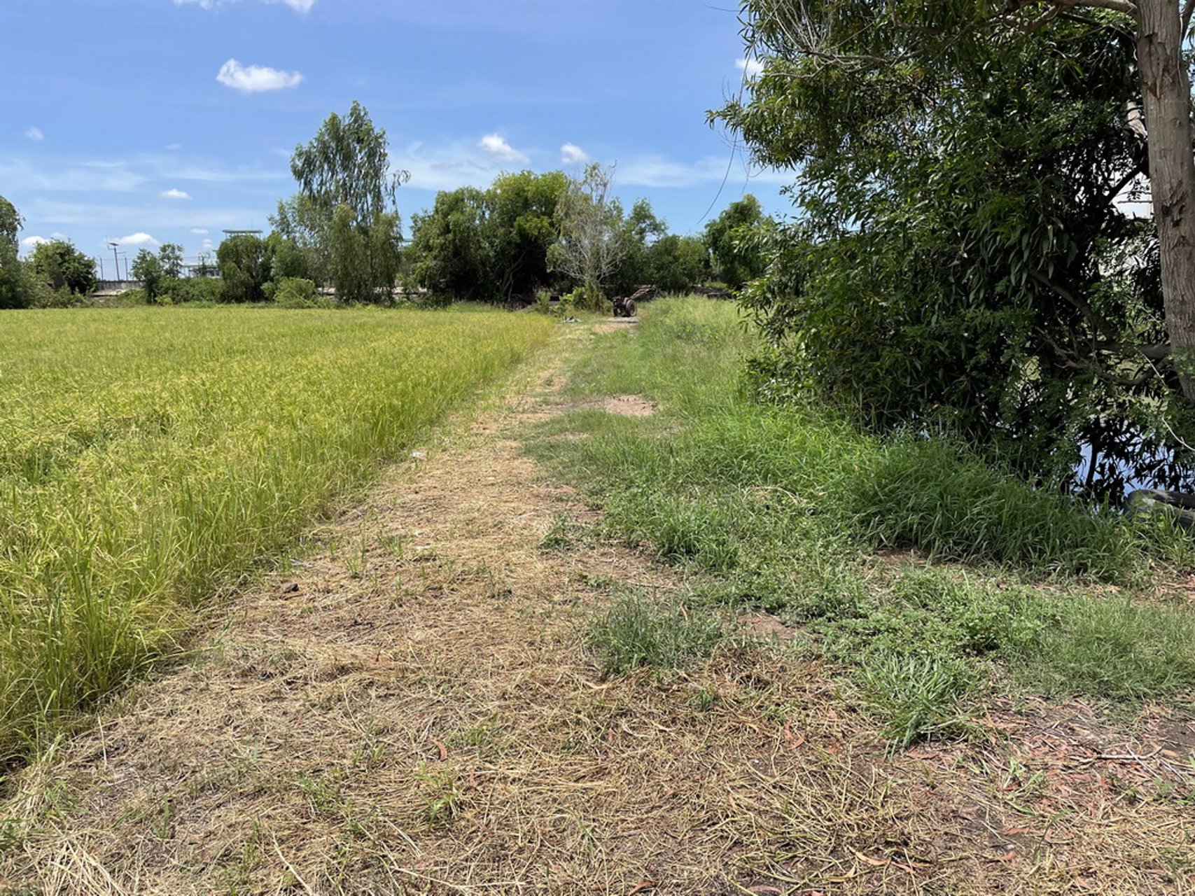 บางกระสั้น-บางปะอิน