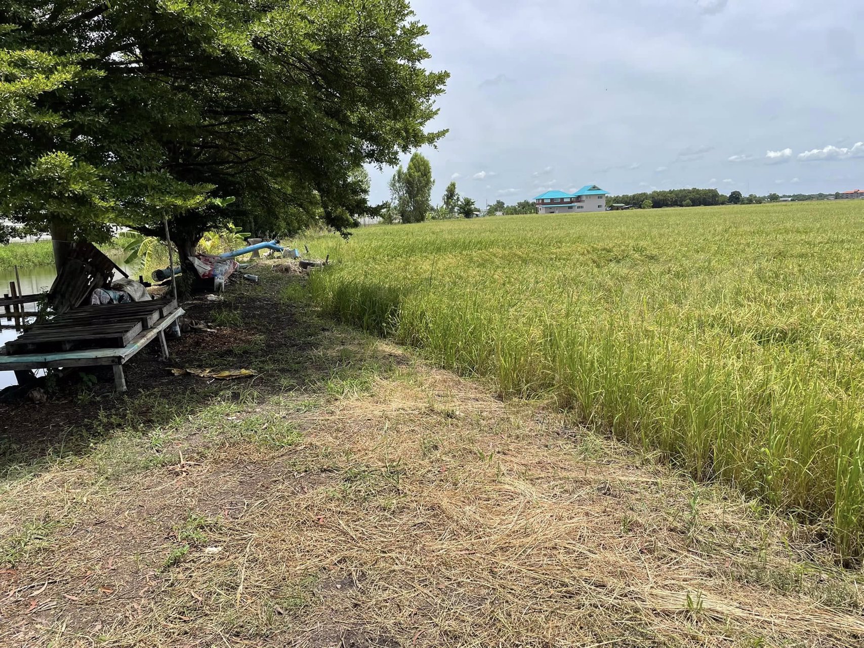 บางกระสั้น-บางปะอิน-อยุธยา