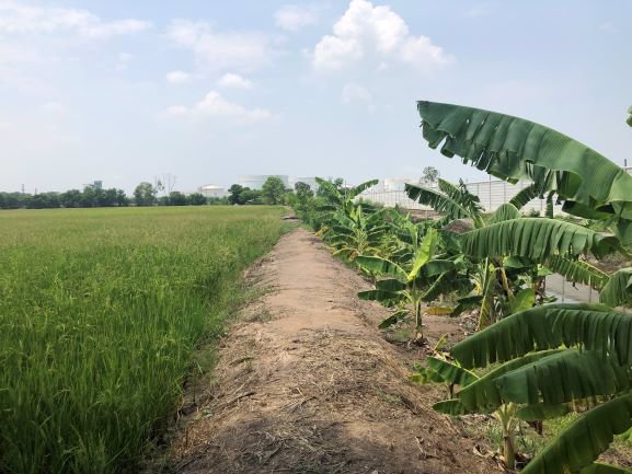 บางกระสั้น-บางปะอิน-อยุธยา