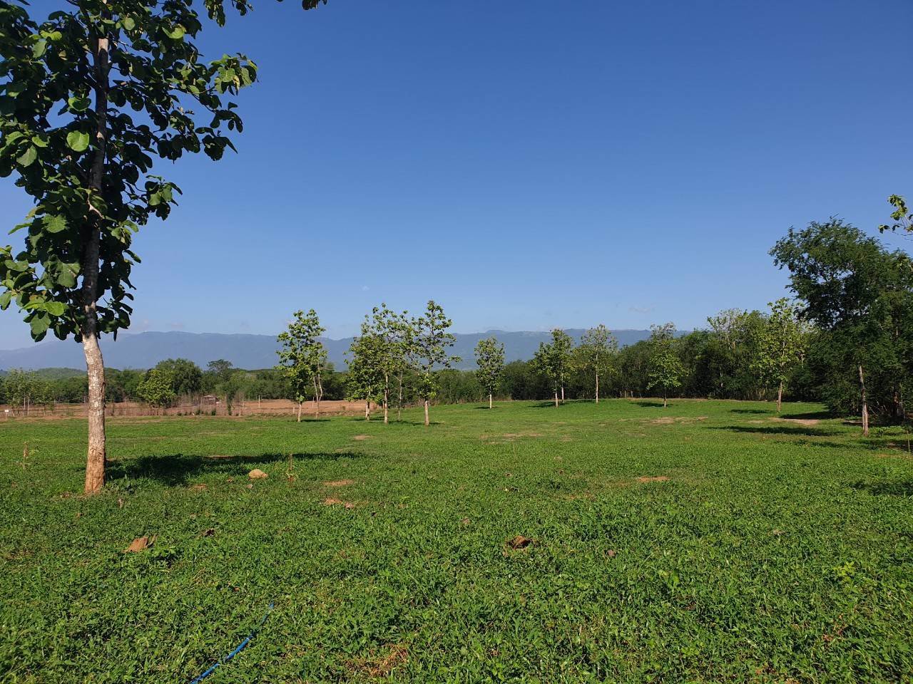 ที่ดินแปลงสวย-วิวเขาค้อ-ภูทับเบิก-ภูลมโล-ล้อมรอบ-บ้านนาซำ-อหล่มเก่า-จเพชรบูรณ์