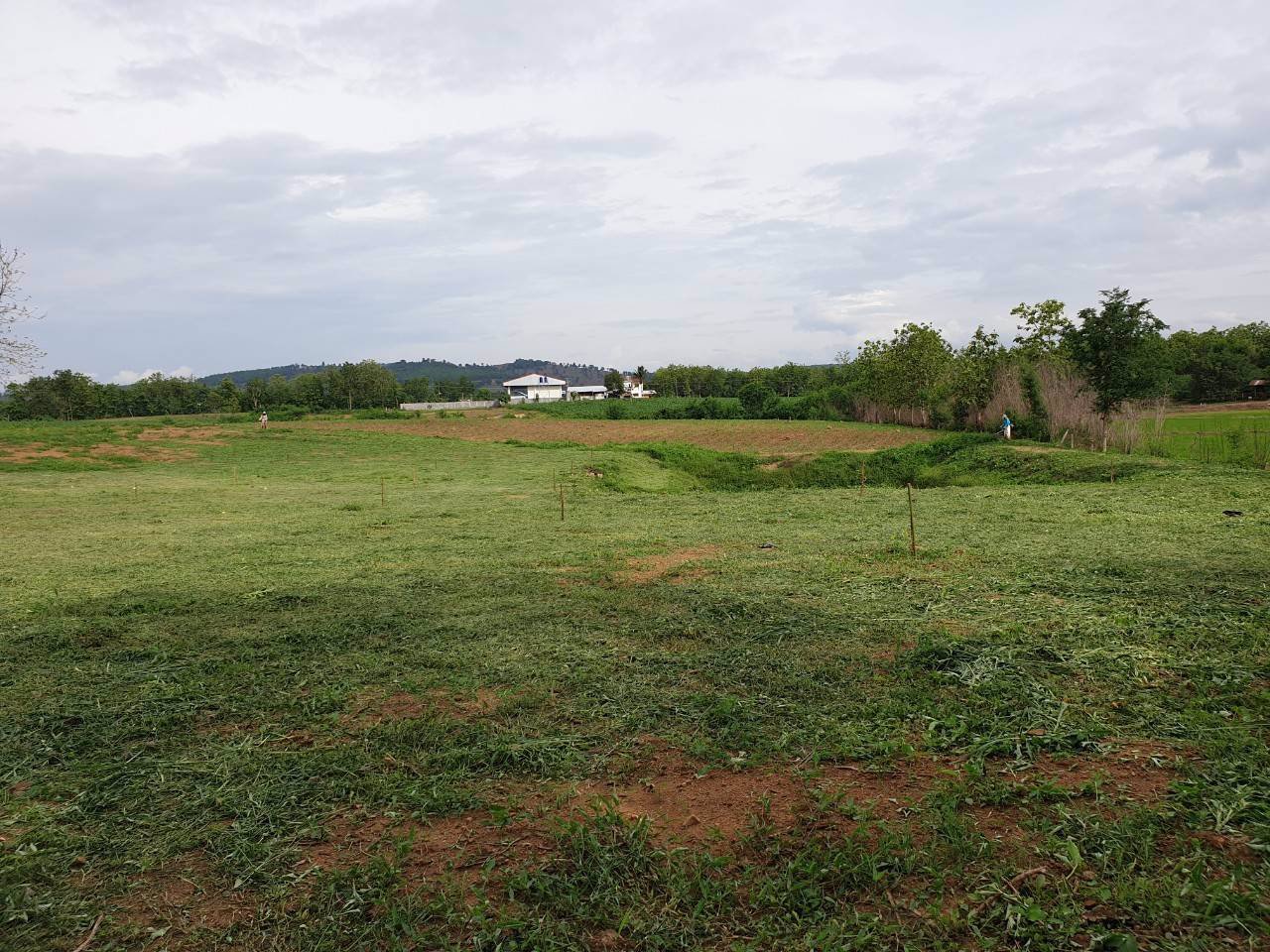 ที่ดินแปลงสวย-วิวเขาค้อ-ภูทับเบิก-ภูลมโล-ล้อมรอบ-บ้านนาซำ-อหล่มเก่า-จเพชรบูรณ์
