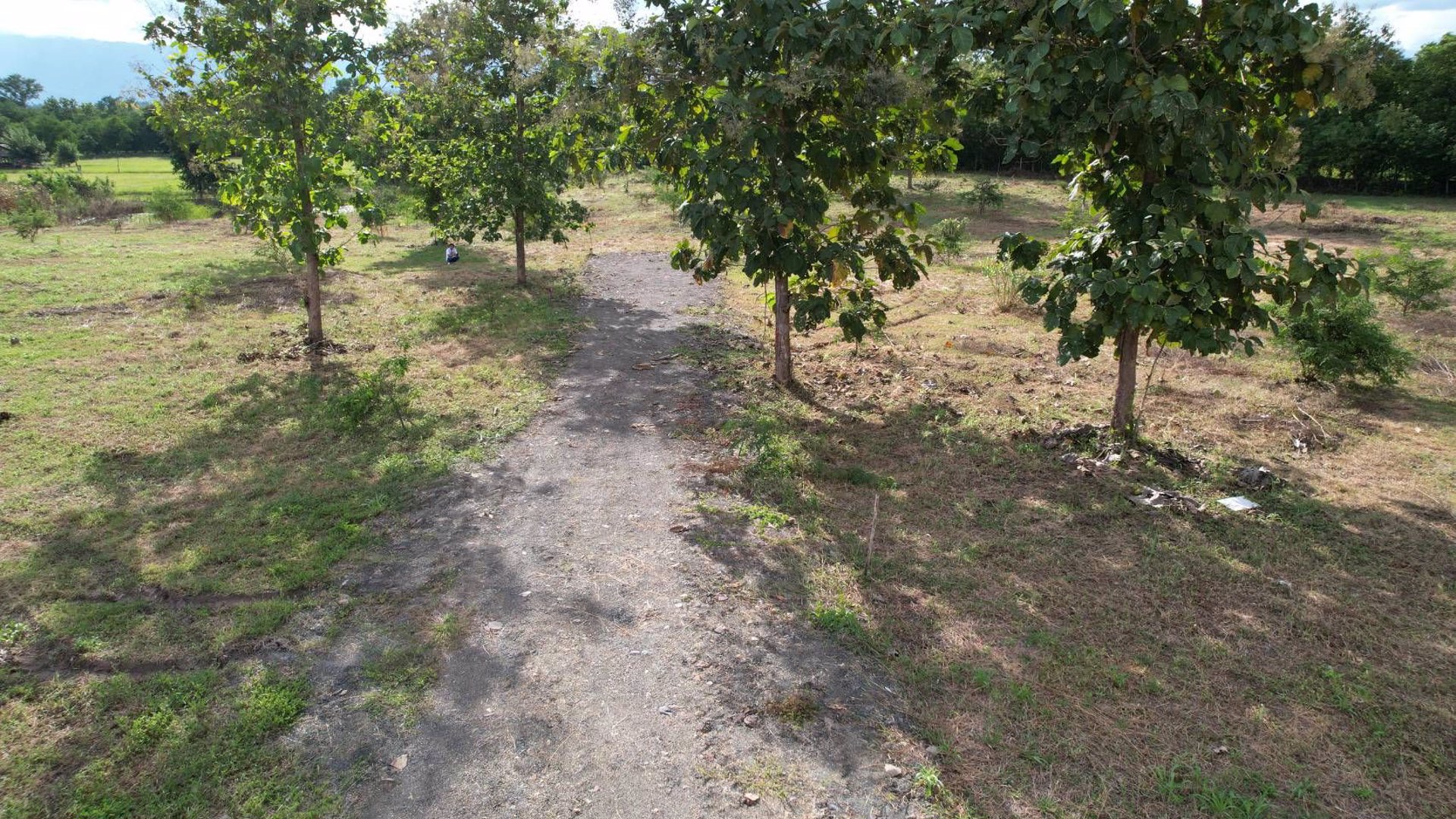 ที่ดินแปลงสวย-วิวเขาค้อ-ภูทับเบิก-ภูลมโล-ล้อมรอบ-บ้านนาซำ-อหล่มเก่า-จเพชรบูรณ์