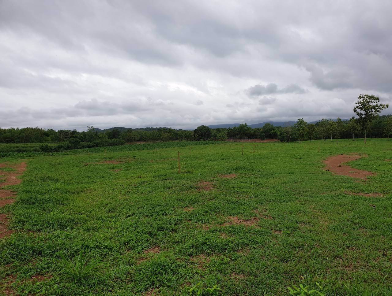 ที่ดินแปลงสวย-วิวเขาค้อ-ภูทับเบิก-ภูลมโล-ล้อมรอบ-บ้านนาซำ-อหล่มเก่า-จเพชรบูรณ์