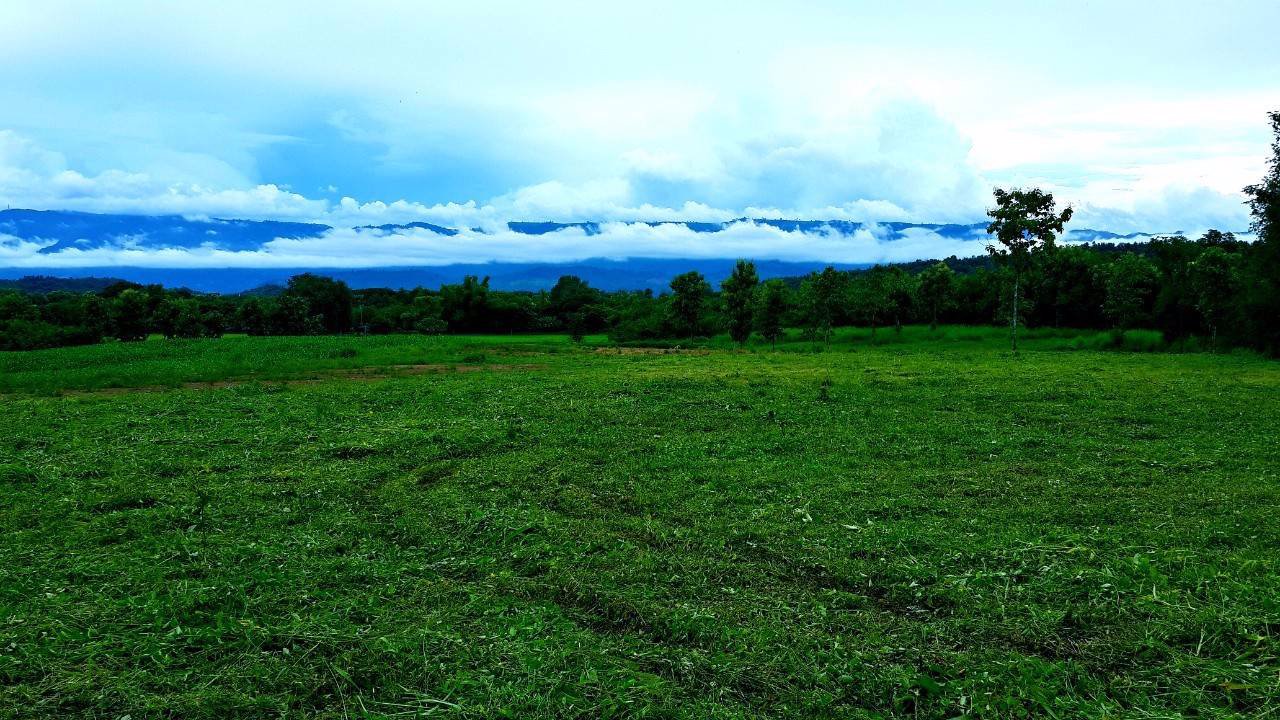 ที่ดินแปลงสวย-วิวเขาค้อ-ภูทับเบิก-ภูลมโล-ล้อมรอบ-บ้านนาซำ-อหล่มเก่า-จเพชรบูรณ์