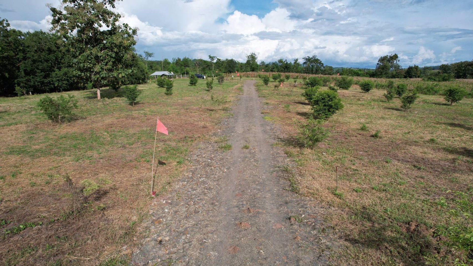 ที่ดินแปลงสวย-วิวเขาค้อ-ภูทับเบิก-ภูลมโล-ล้อมรอบ-บ้านนาซำ-อหล่มเก่า-จเพชรบูรณ์