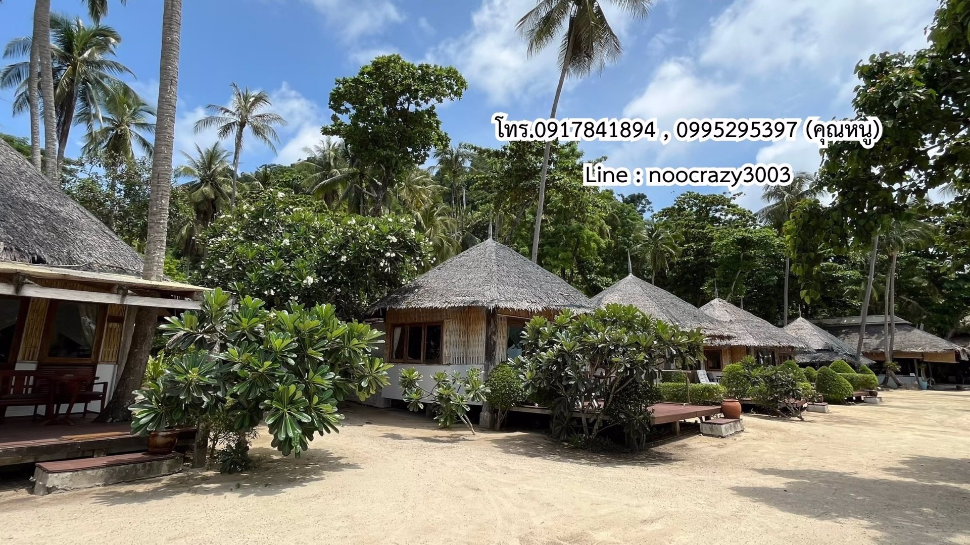 ขายที่ดิน-บนเกาะไหง-ตำบลเกาะลันตาใหญ่-อำเภอเกาะลันตา-จังหวัดกระบี่