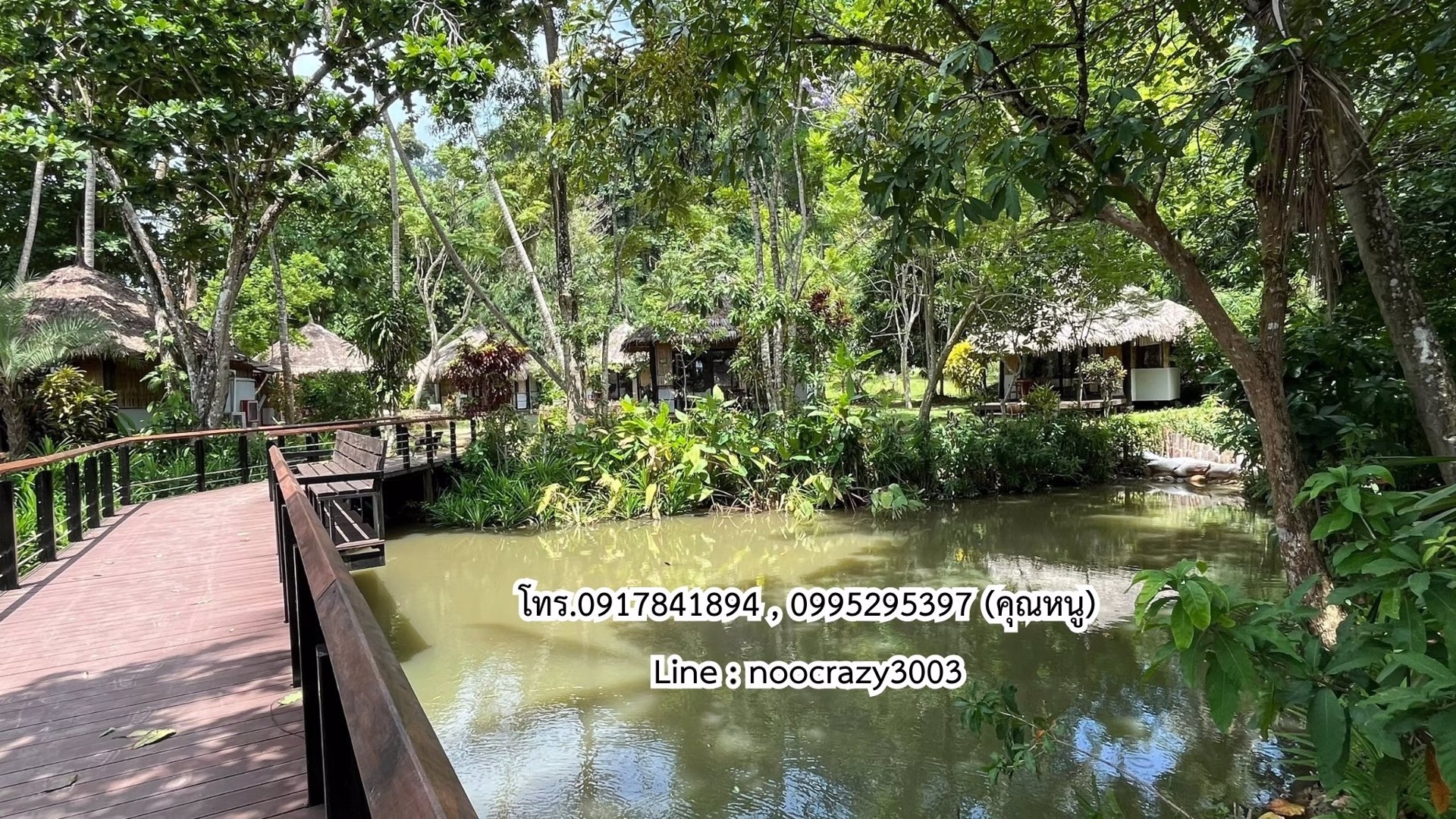 ขายที่ดิน-บนเกาะไหง-ตำบลเกาะลันตาใหญ่-อำเภอเกาะลันตา-จังหวัดกระบี่