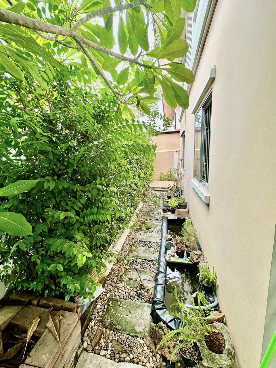 ขายถูก-พฤกษาc-หลังริม-4-นอน-ขาย-155-ล้าน